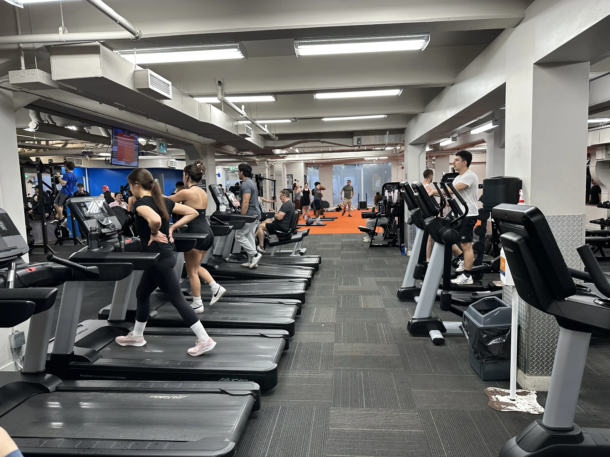 Hone Fitness - Bloor & Christie